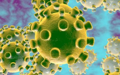 Covid-19 Update and Vaccination Information